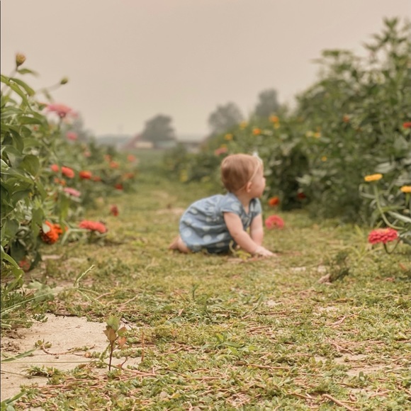 Meet your Posher, Chelsea - Picture 1 of 1